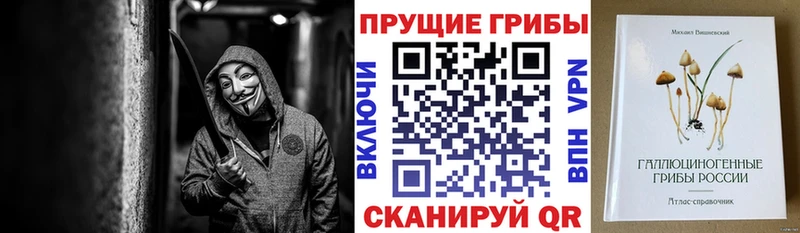 Псилоцибиновые грибы MAGIC MUSHROOMS  нарко площадка наркотические препараты  kraken онион  Ковдор  где продают наркотики 
